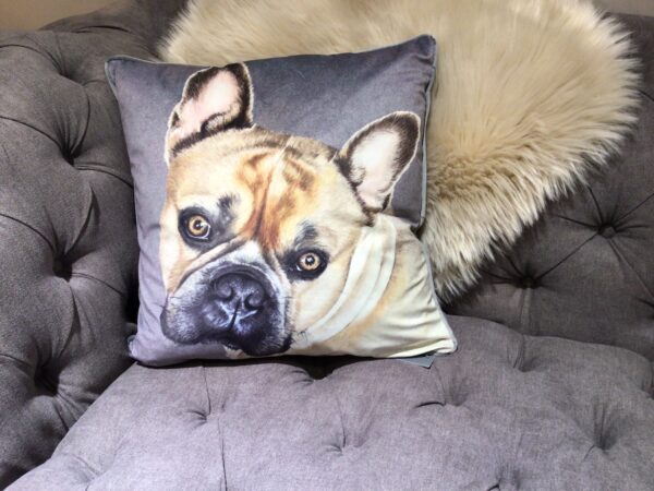 French Bulldog print velvet cushion with a grey background