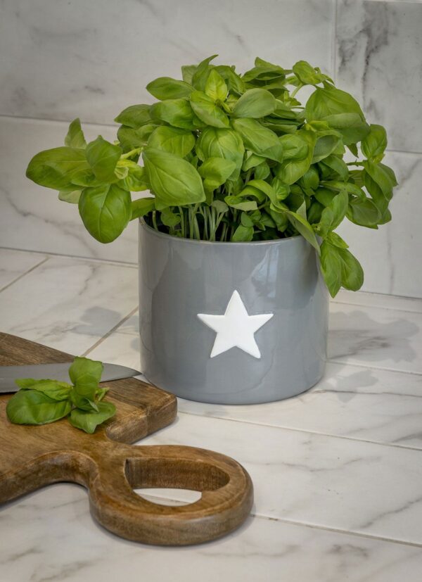 Plant Pot in Grey with White Star